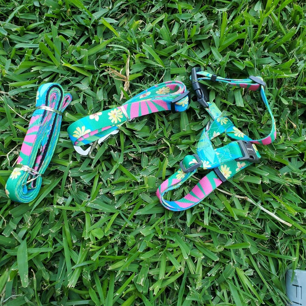 Cat Harness and Leash Set (Hawaii Green)